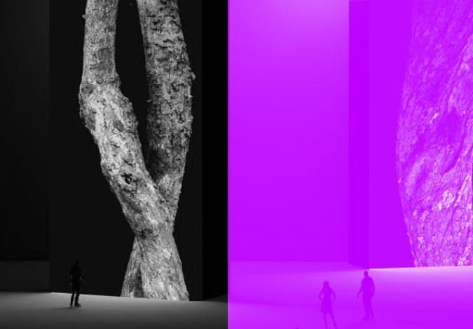 Transforming Trees