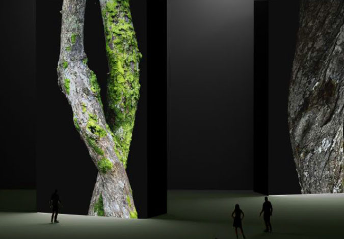 Transforming Trees